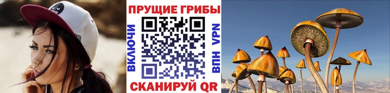 Галлюциногенные грибы прущие грибы Могоча